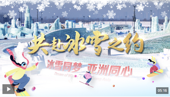 更是球队调